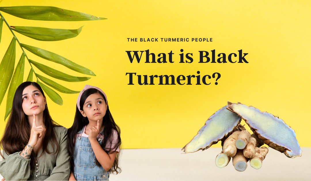 What is Black Turmeric?